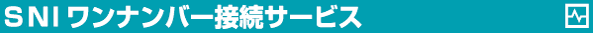 S.N.I�����i���o�[�ڑ��T�[�r�X